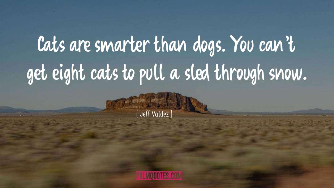 Jeff Valdez Quotes: Cats are smarter than dogs.