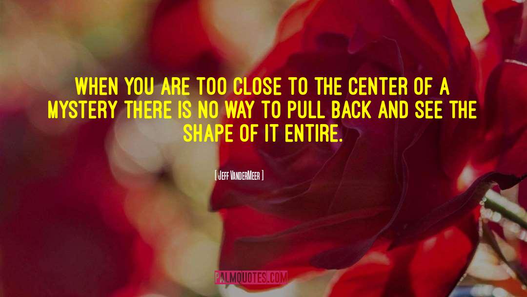 Jeff VanderMeer Quotes: When you are too close