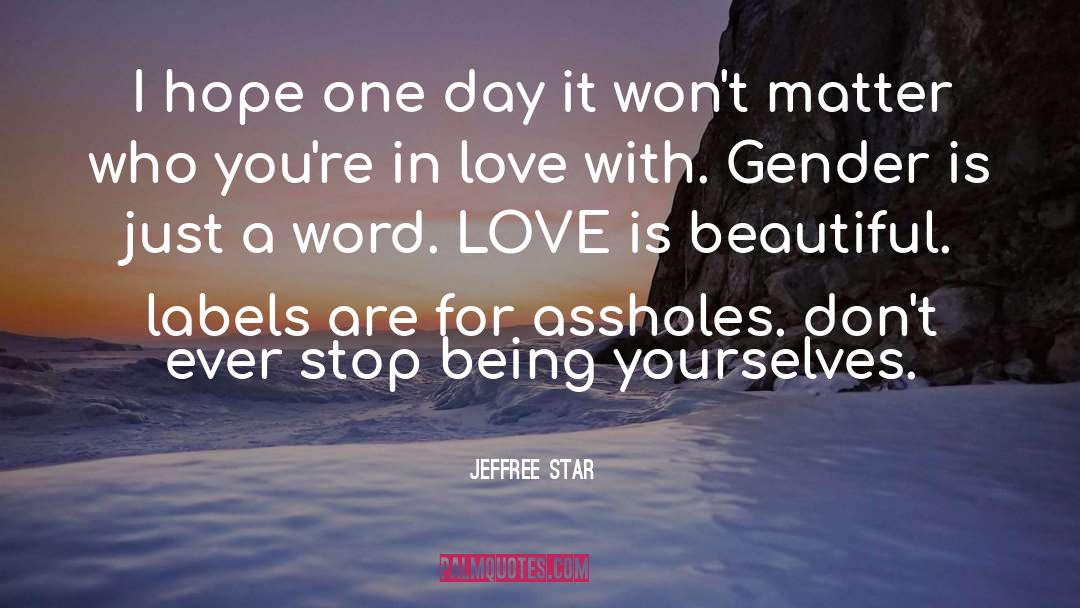 Jeffree Star Quotes: I hope one day it