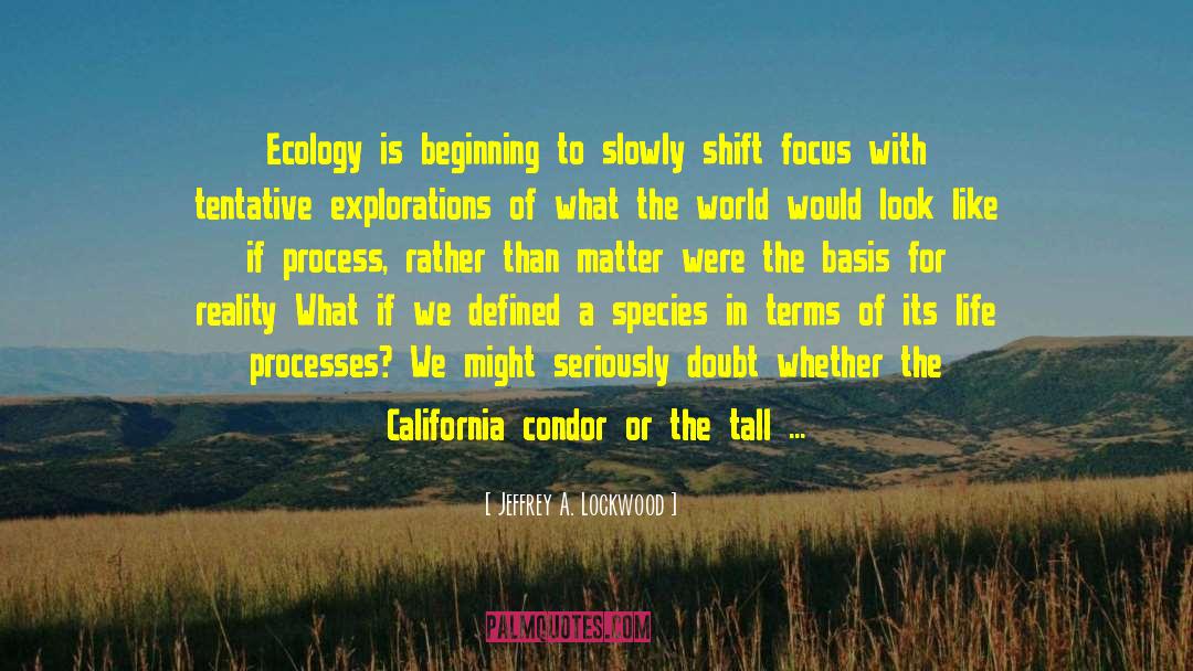 Jeffrey A. Lockwood Quotes: Ecology is beginning to slowly