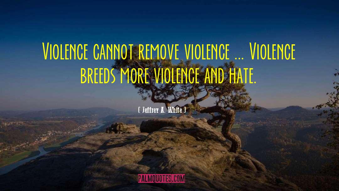 Jeffrey A. White Quotes: Violence cannot remove violence ...