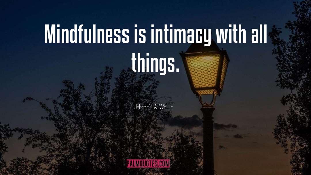 Jeffrey A. White Quotes: Mindfulness is intimacy with all