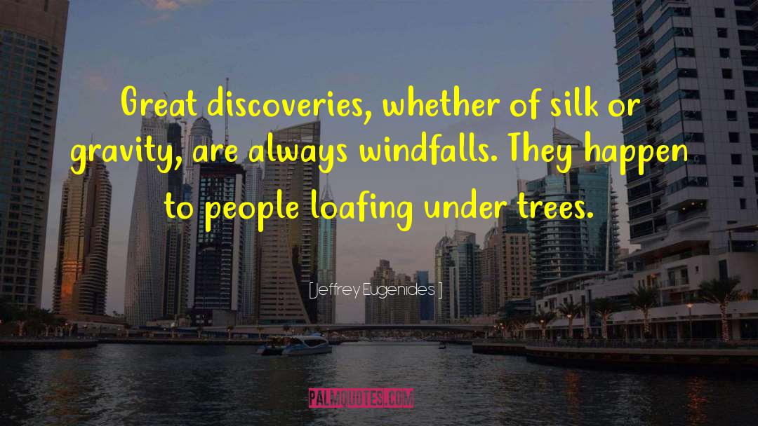 Jeffrey Eugenides Quotes: Great discoveries, whether of silk