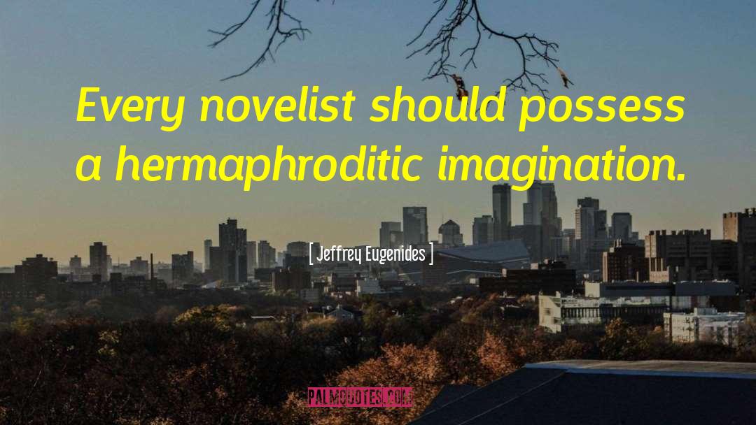 Jeffrey Eugenides Quotes: Every novelist should possess a
