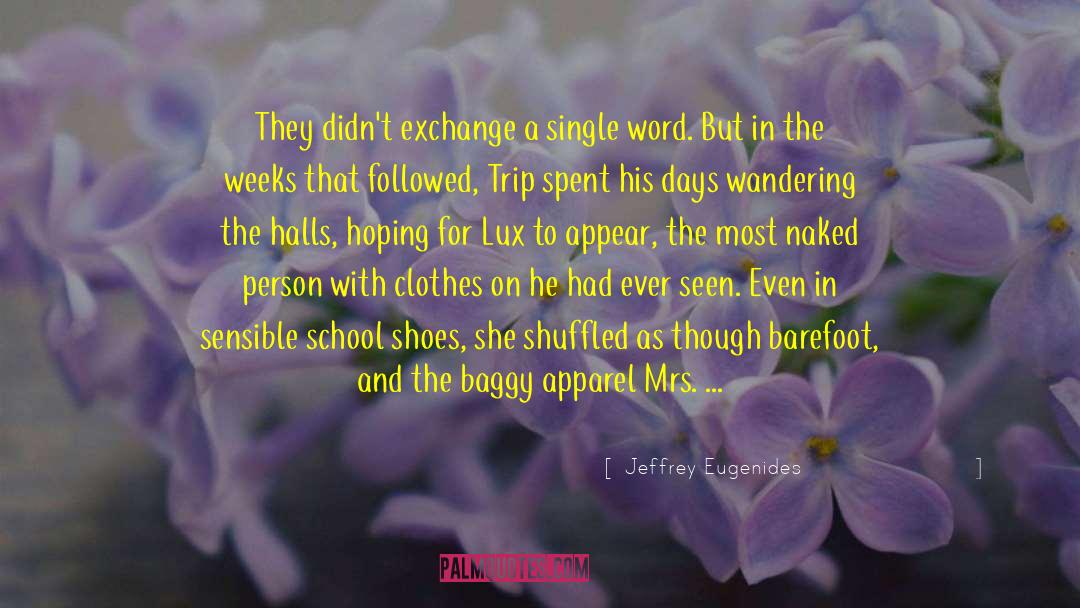 Jeffrey Eugenides Quotes: They didn't exchange a single