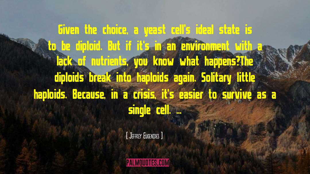 Jeffrey Eugenides Quotes: Given the choice, a yeast