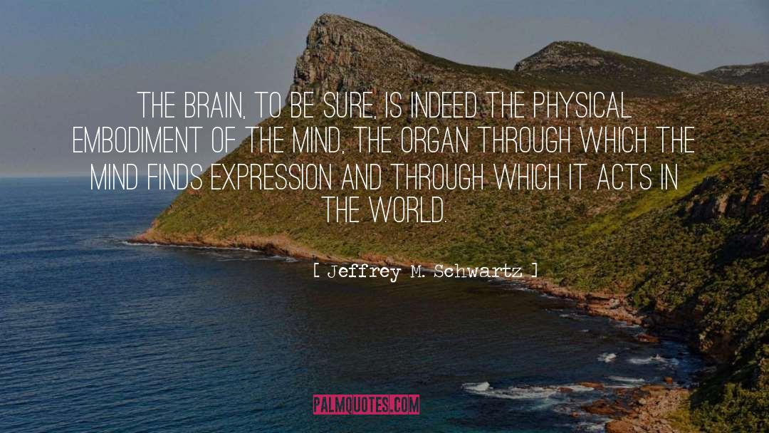 Jeffrey M. Schwartz Quotes: The brain, to be sure,