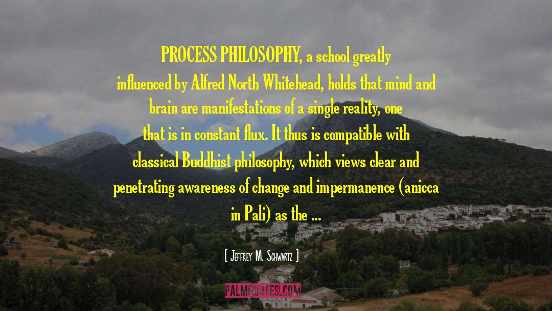 Jeffrey M. Schwartz Quotes: PROCESS PHILOSOPHY, a school greatly