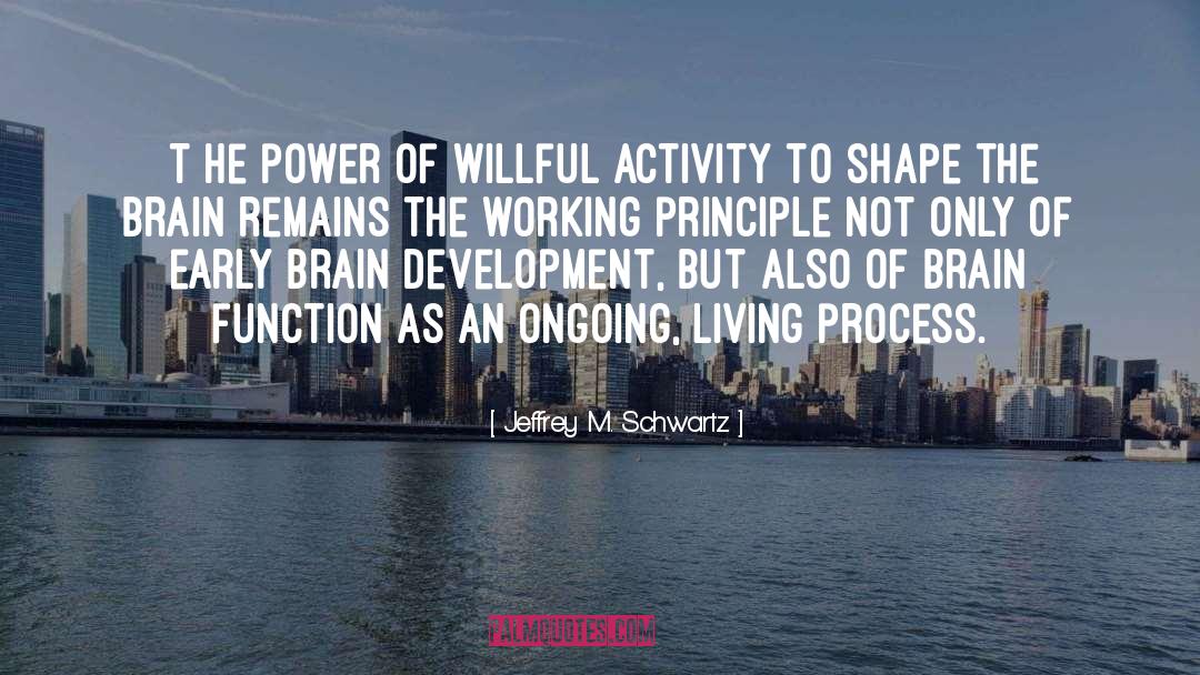 Jeffrey M. Schwartz Quotes: [T]he power of willful activity