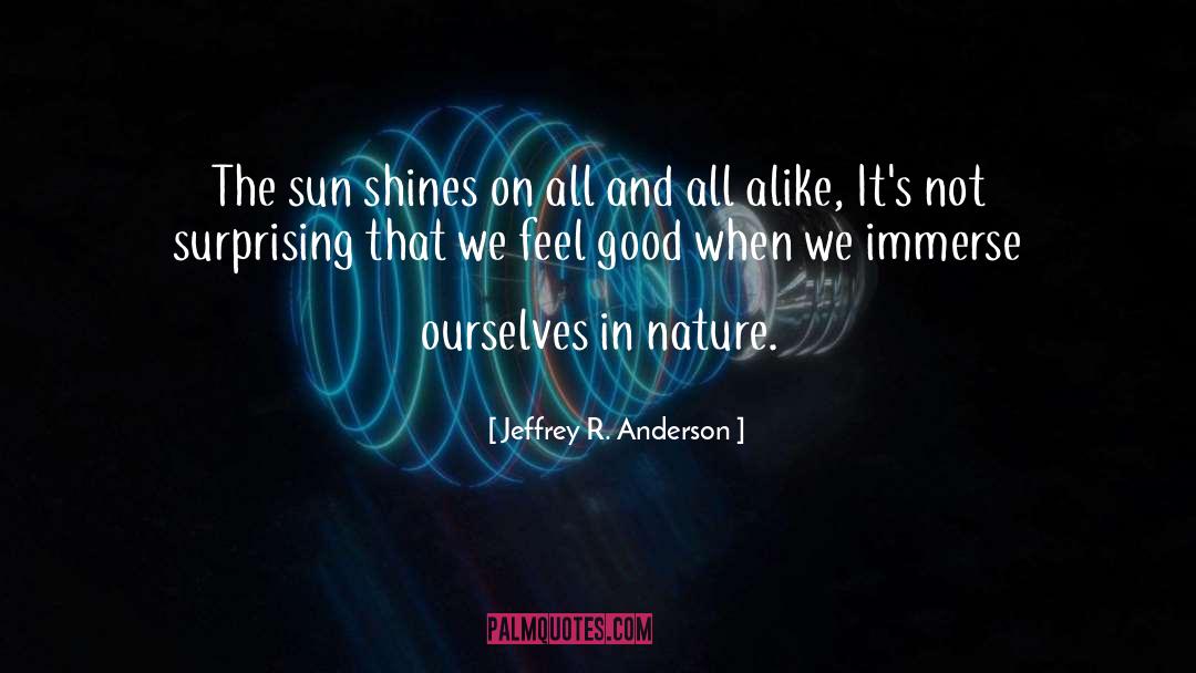 Jeffrey R. Anderson Quotes: The sun shines on all