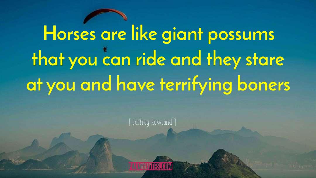 Jeffrey Rowland Quotes: Horses are like giant possums