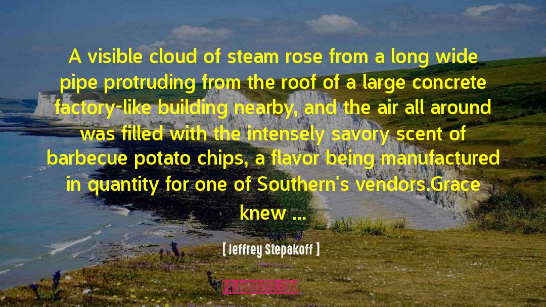 Jeffrey Stepakoff Quotes: A visible cloud of steam