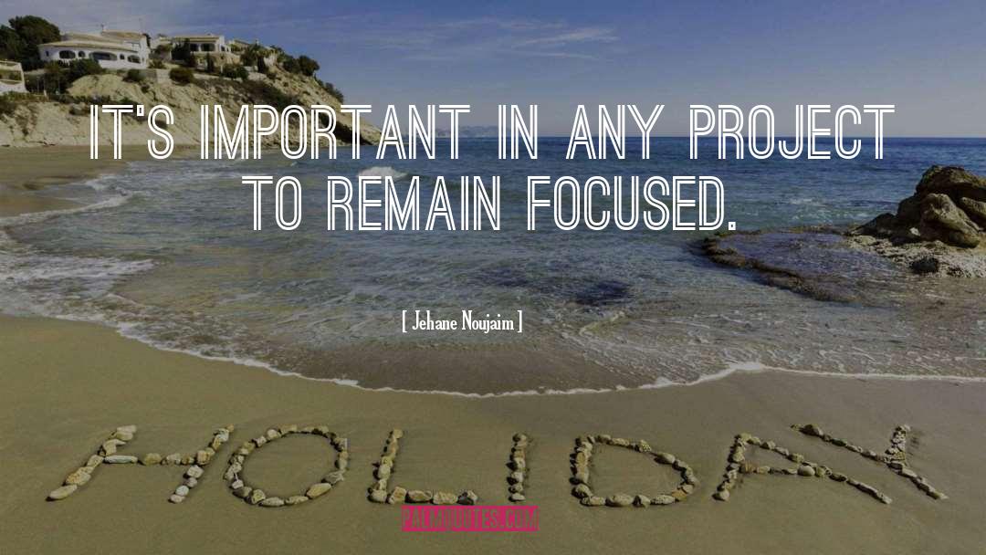 Jehane Noujaim Quotes: It's important in any project