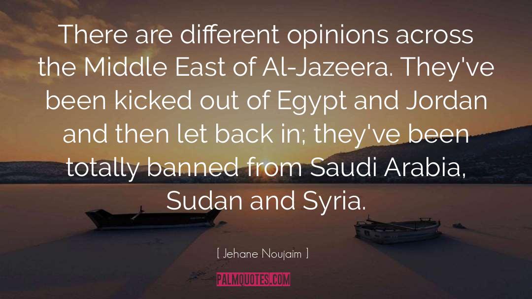 Jehane Noujaim Quotes: There are different opinions across