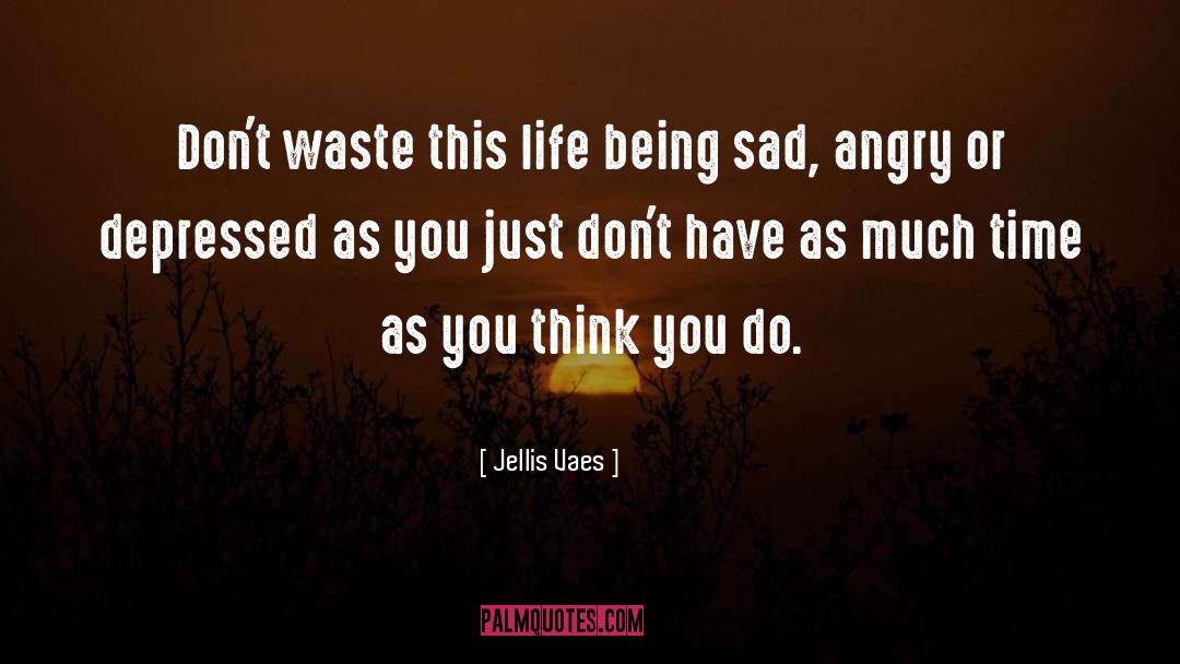 Jellis Vaes Quotes: Don't waste this life being