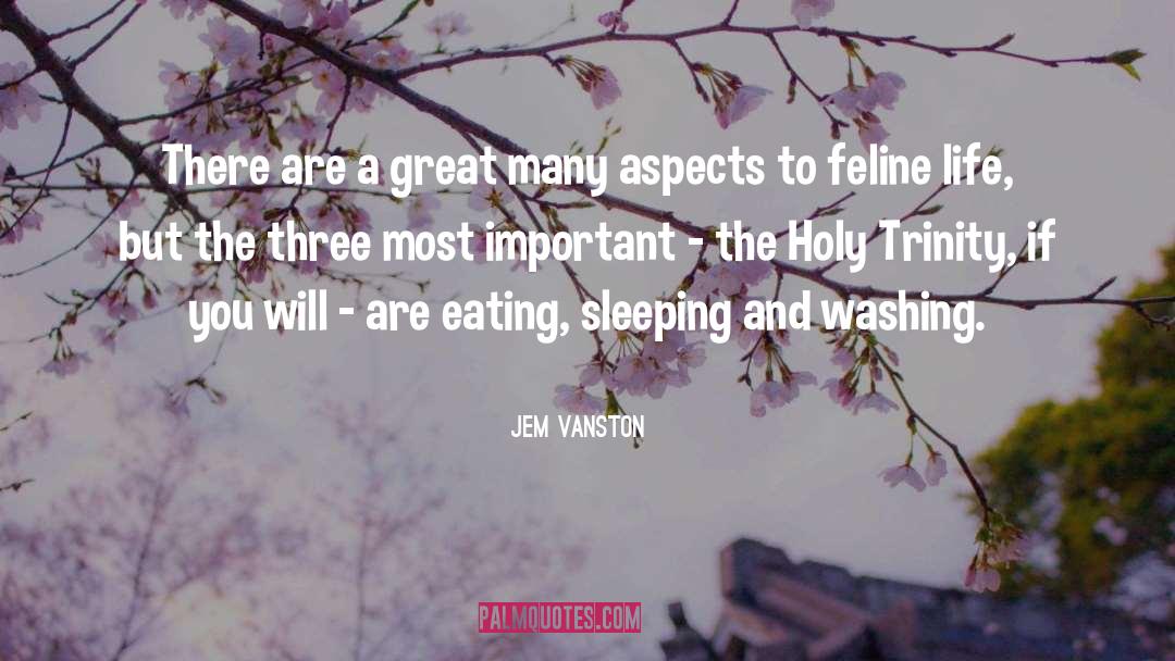 Jem Vanston Quotes: There are a great many