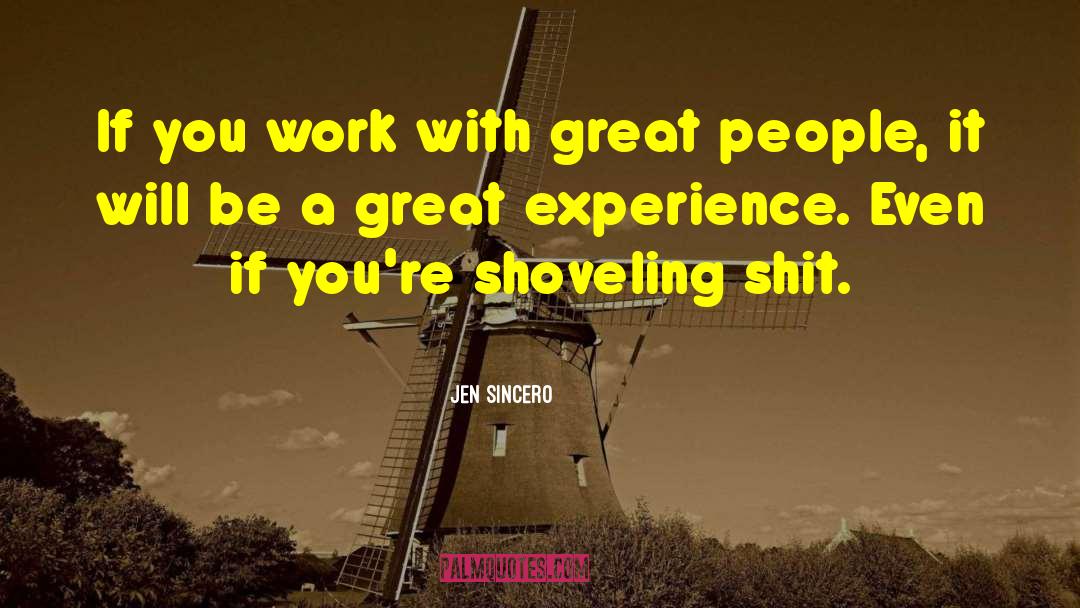 Jen Sincero Quotes: If you work with great