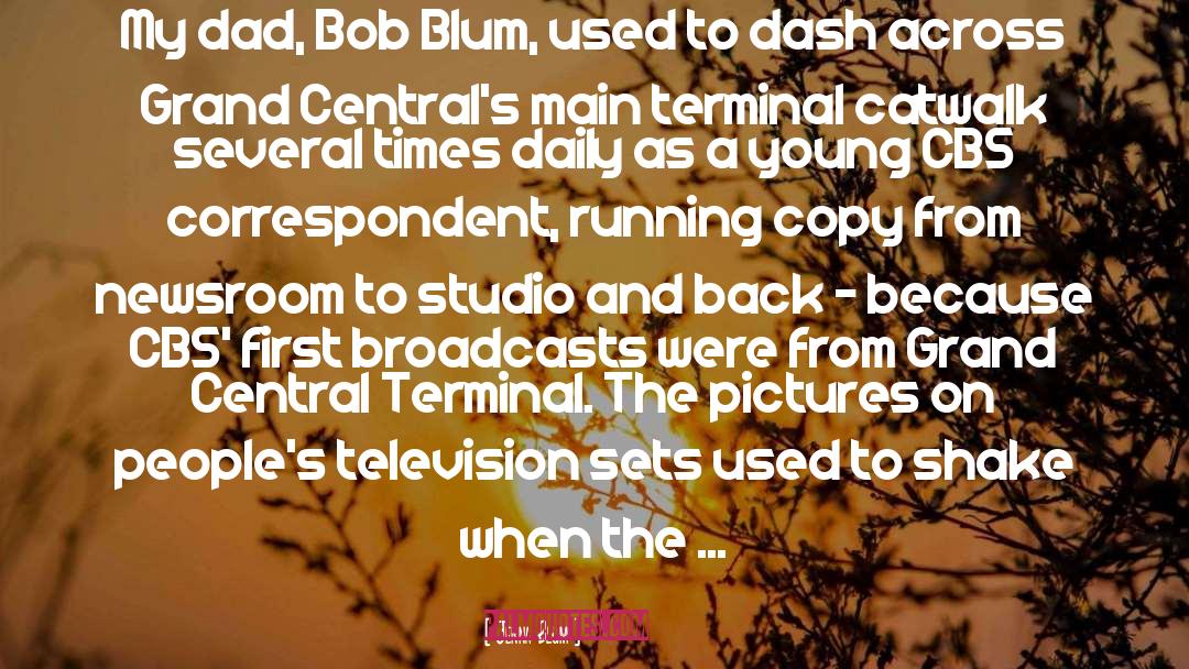Jenna Blum Quotes: My dad, Bob Blum, used