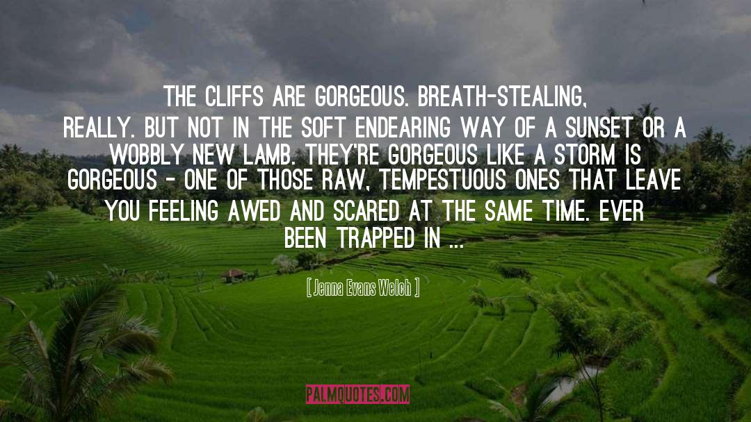 Jenna Evans Welch Quotes: The cliffs are gorgeous. Breath-stealing,
