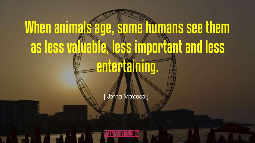 Jenna Morasca Quotes: When animals age, some humans