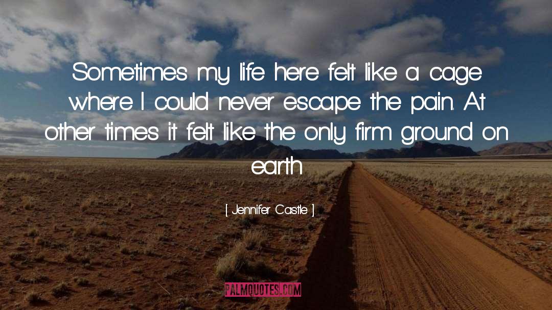 Jennifer Castle Quotes: Sometimes my life here felt