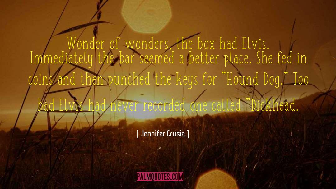 Jennifer Crusie Quotes: Wonder of wonders, the box