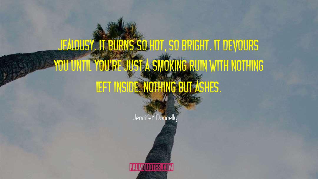 Jennifer Donnelly Quotes: Jealousy. It burns so hot,