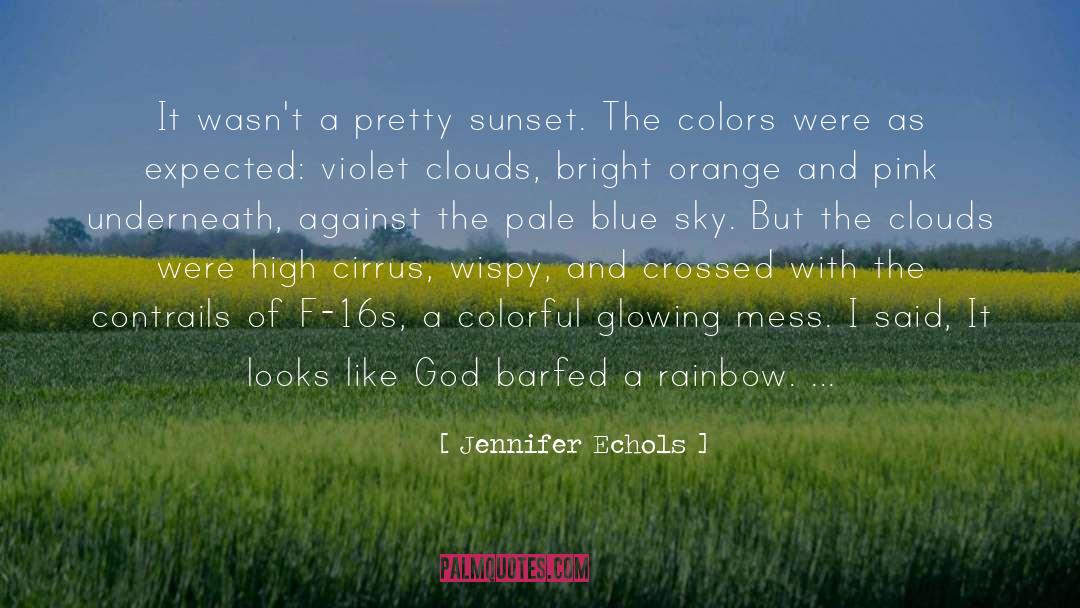 Jennifer Echols Quotes: It wasn't a pretty sunset.