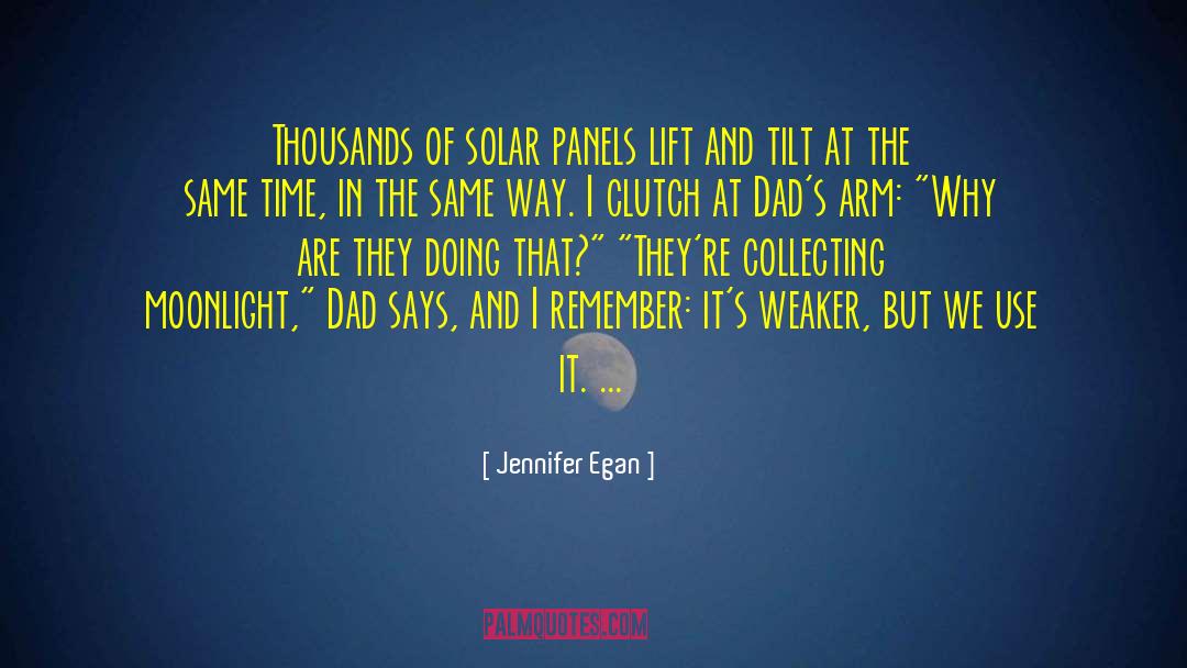 Jennifer Egan Quotes: Thousands of solar panels lift