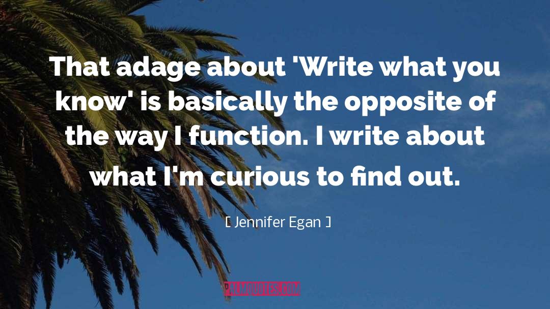 Jennifer Egan Quotes: That adage about 'Write what