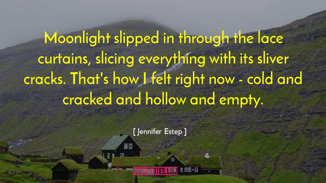 Jennifer Estep Quotes: Moonlight slipped in through the