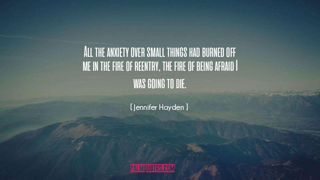 Jennifer Hayden Quotes: All the anxiety over small