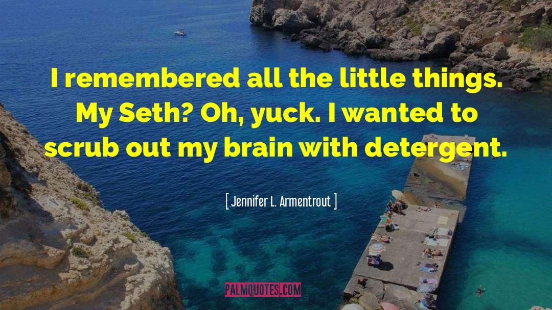 Jennifer L. Armentrout Quotes: I remembered all the little