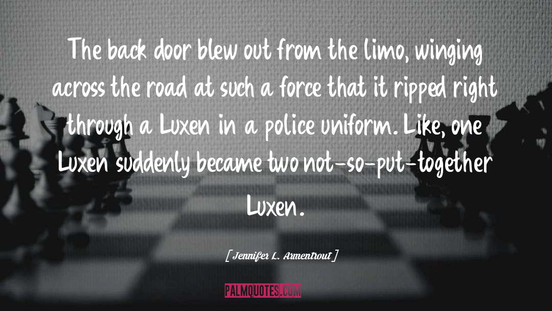Jennifer L. Armentrout Quotes: The back door blew out