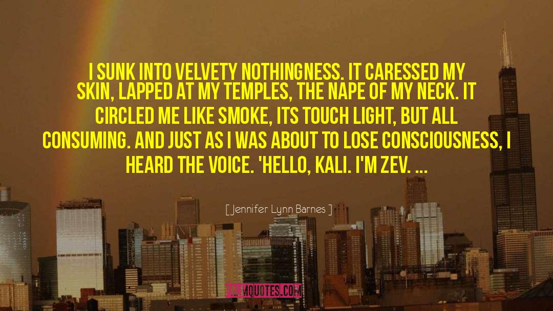 Jennifer Lynn Barnes Quotes: I sunk into velvety nothingness.