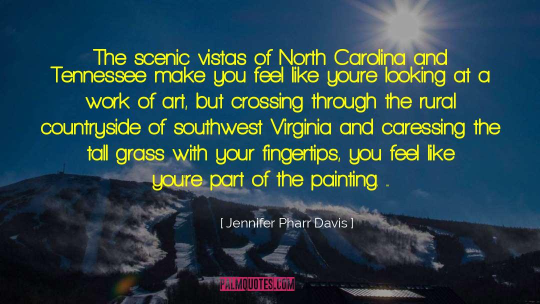Jennifer Pharr Davis Quotes: The scenic vistas of North