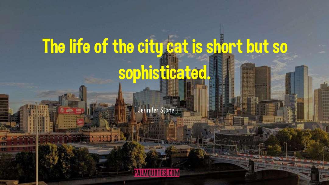 Jennifer Stone Quotes: The life of the city