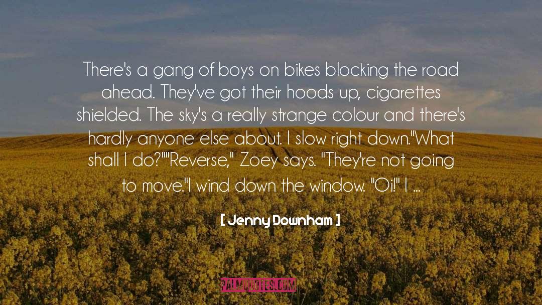 Jenny Downham Quotes: There's a gang of boys