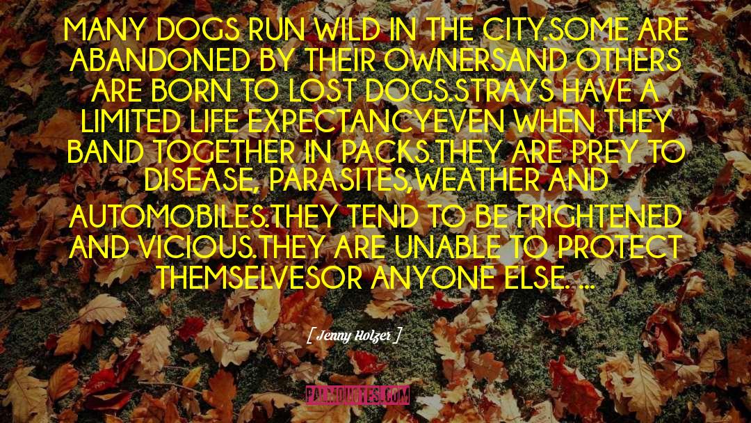Jenny Holzer Quotes: MANY DOGS RUN WILD IN