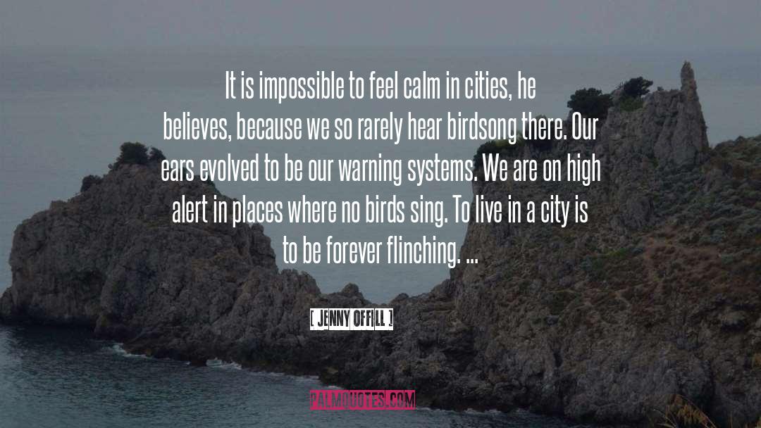 Jenny Offill Quotes: It is impossible to feel