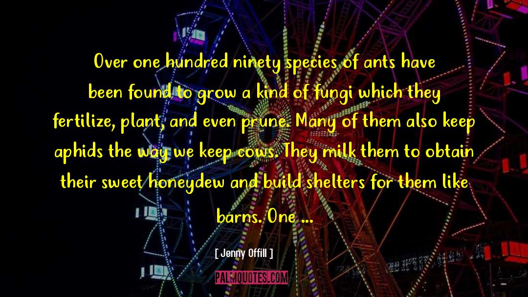 Jenny Offill Quotes: Over one hundred ninety species