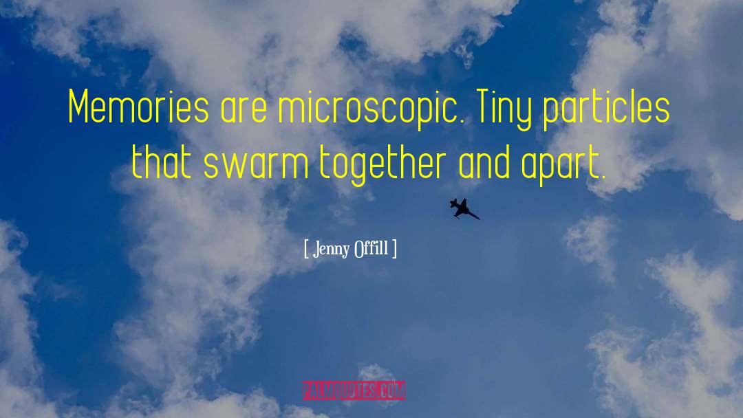 Jenny Offill Quotes: Memories are microscopic. Tiny particles