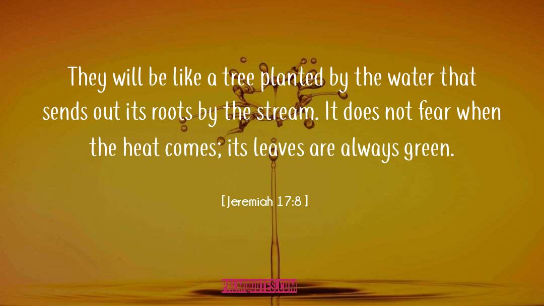 Jeremiah 17:8 Quotes: They will be like a