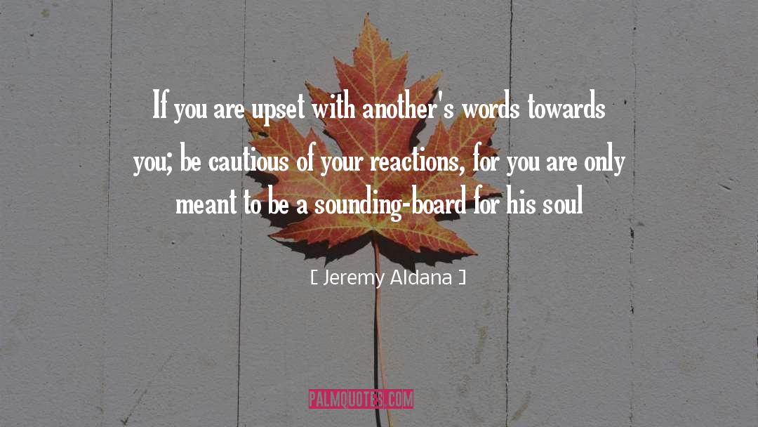 Jeremy Aldana Quotes: If you are upset with