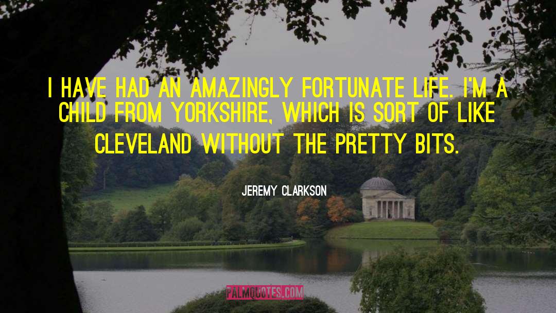 Jeremy Clarkson Quotes: I have had an amazingly