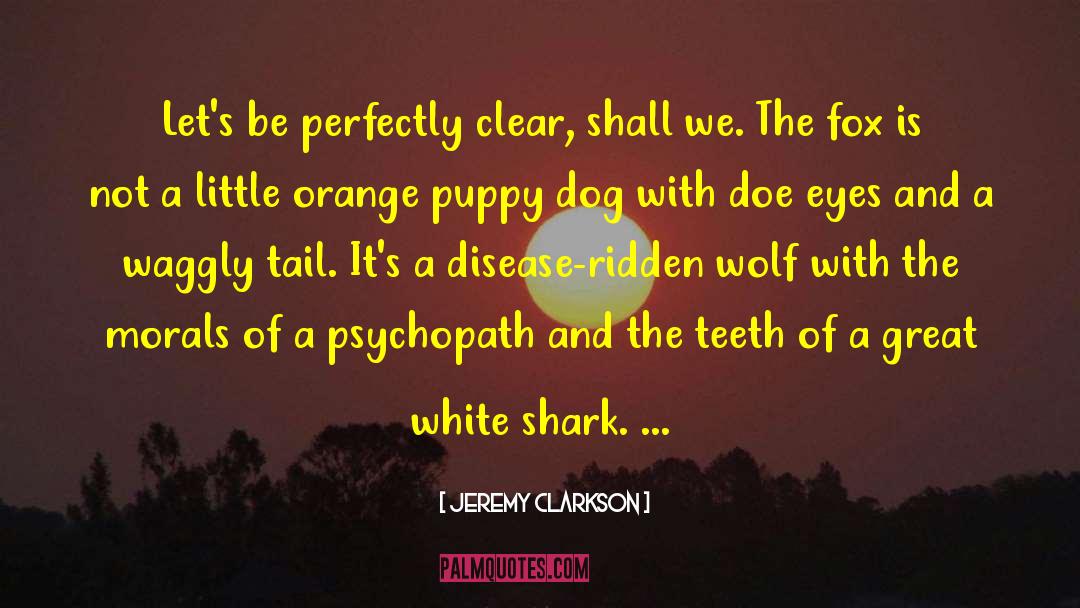 Jeremy Clarkson Quotes: Let's be perfectly clear, shall