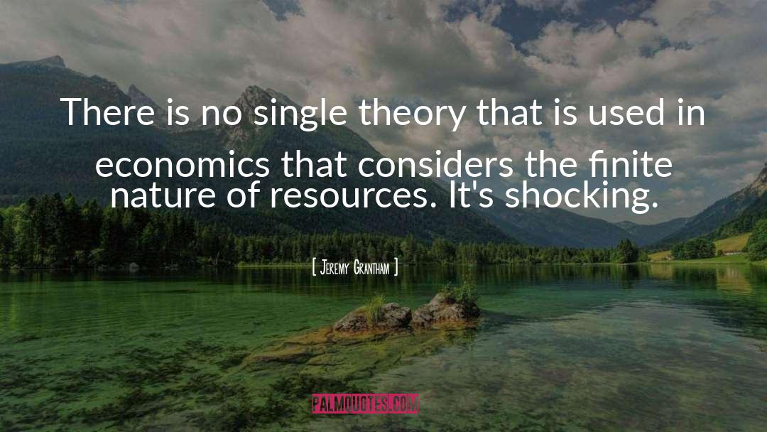 Jeremy Grantham Quotes: There is no single theory