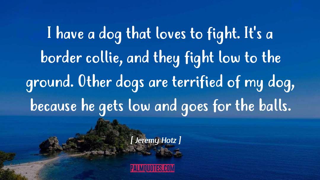 Jeremy Hotz Quotes: I have a dog that