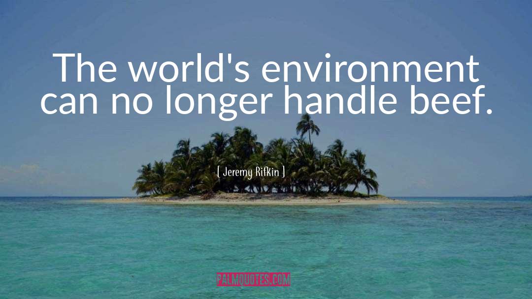 Jeremy Rifkin Quotes: The world's environment can no