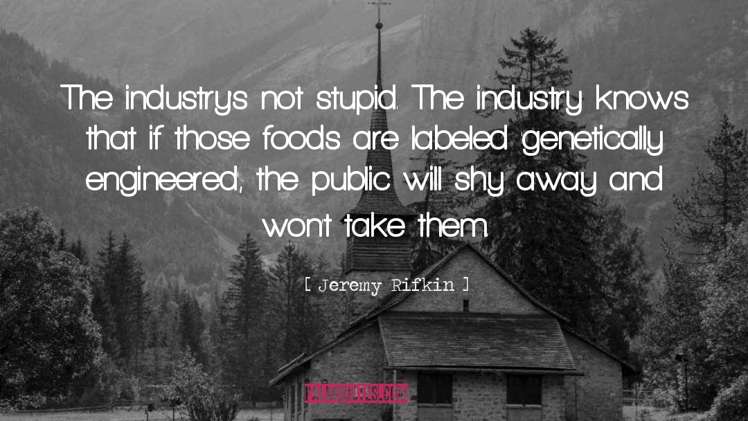 Jeremy Rifkin Quotes: The industry's not stupid. The